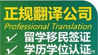 大连译言翻译公司 以专业、权威与高效，铸就卓越翻译服务