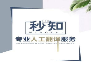 从无到有 秒知教育培训人工翻译服务的崛起之路